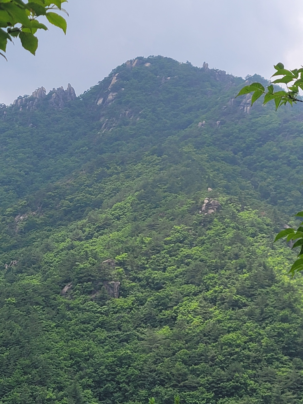 2000769928_YUhe6RpK_1205b98add4cb7f3fd196b9b3945df9cbd7fa463.jpg 이미지크게보기